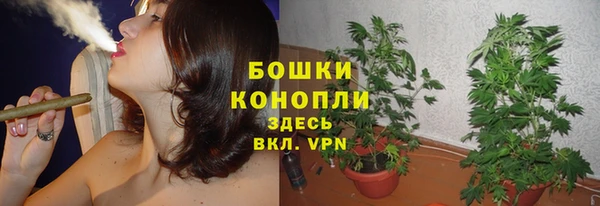 дмт Нязепетровск