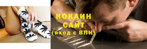 соль курить ск Новодвинск