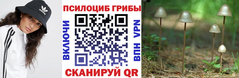Псилоцибиновые грибы Magic Shrooms  Зеленогорск 