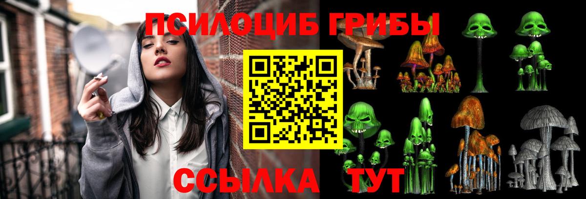 Псилоцибиновые грибы мицелий  Зеленогорск 